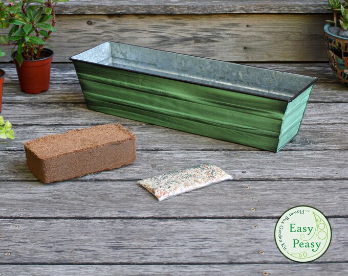 Easy Peasy Grow Kit with 22" Green Flower Windowbox Planter