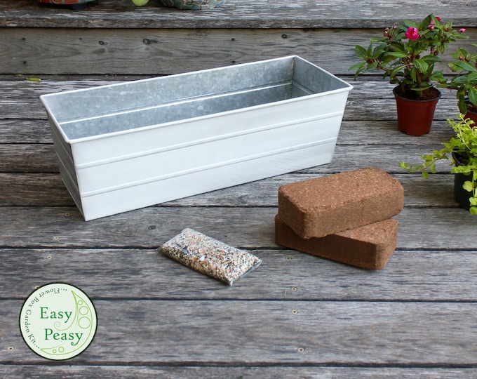 Easy Peasy Grow Kit with 24"L Whitewash Flower Windowbox Planter