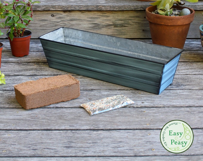 Easy Peasy Grow Kit with 22" Slate Blue Flower Windowbox Planter