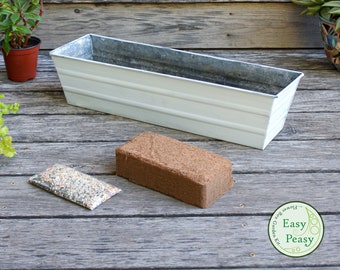 Easy Peasy Grow Kit with 22" Whitewash Flower Windowbox Planter