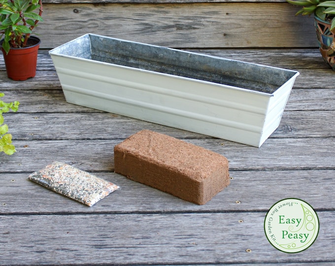 Easy Peasy Grow Kit with 22" Whitewash Flower Windowbox Planter