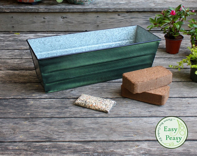 Easy Peasy Grow Kit with 24"L Green Window Box Planter