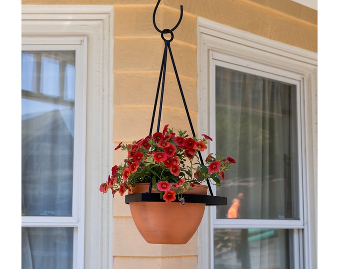 Modern Hanging Planter with 8" Pot