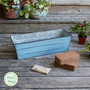 May include: A blue metal planter with two compressed soil bricks and a packet of flower seeds. The planter is on a wooden deck with the text "Easy Peasy Garden Kit..." on a green circle.