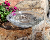 Clear Honeybee Glass Birdbath Bowl, 12 inch