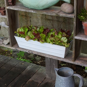 May include: A white metal planter box filled with a variety of green and red lettuce. The planter is sitting on a wooden shelf.