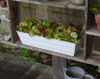 22" Whitewash Flower Windowbox Planter, Rectangular
