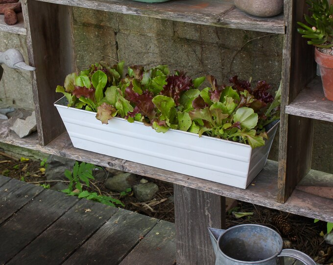 22" Whitewash Flower Windowbox Planter, Rectangular