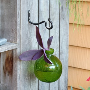 May include: A green glass bottle with a plant inside is hanging from a black metal hook. The bottle has a wire handle and is suspended from a wooden wall.