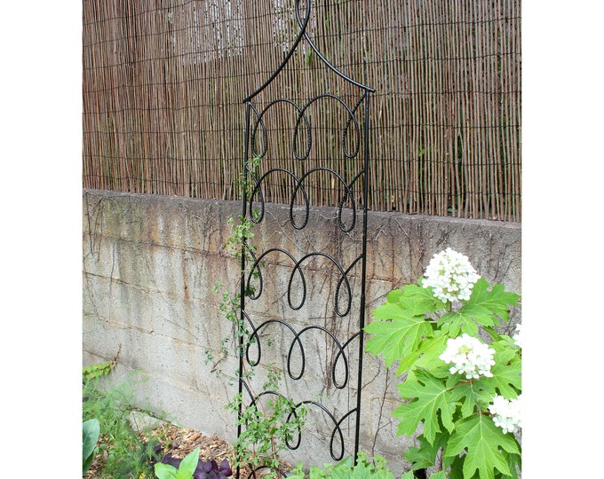 Loops Wrought Iron Trellis,  Free-Standing for Garden, 72"H x 18"W