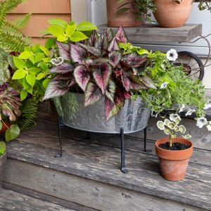 May include: A galvanized metal planter with a decorative design sits on a black metal stand. The planter is filled with a variety of plants, including a leafy green plant, a pink and green plant, and a white flowering plant.