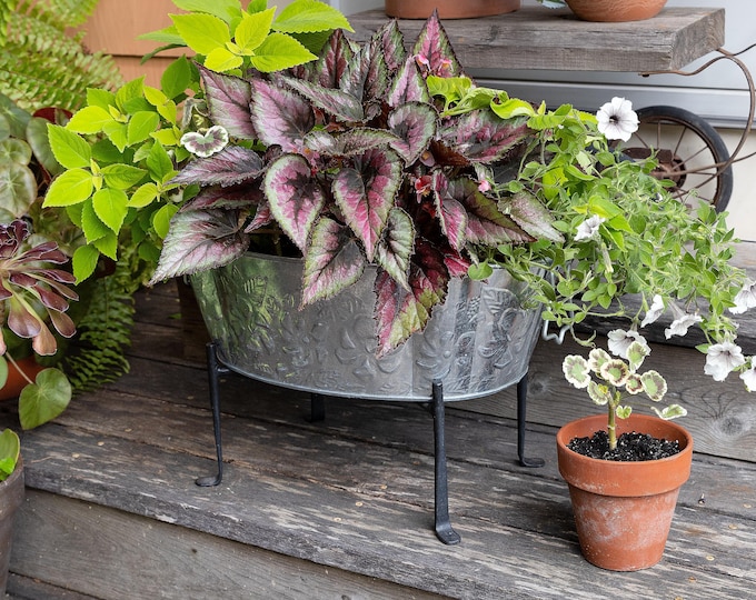 Scalloped Oval Tub Planter with Folding Stand