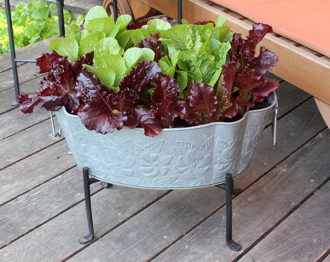 Scalloped Oval Tub Planter with Folding Stand