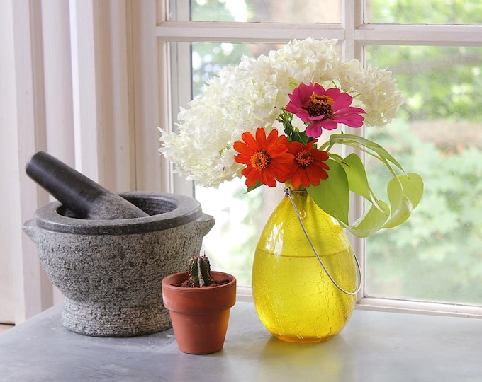 Yellow Glass Hanging Rooting Vase