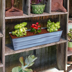 May include: A long, rectangular, grey metal planter with a distressed finish. The planter is filled with soil and three plants, including a green leafy plant, a red flowering plant, and another green leafy plant. The planter is sitting on a wooden shelf.