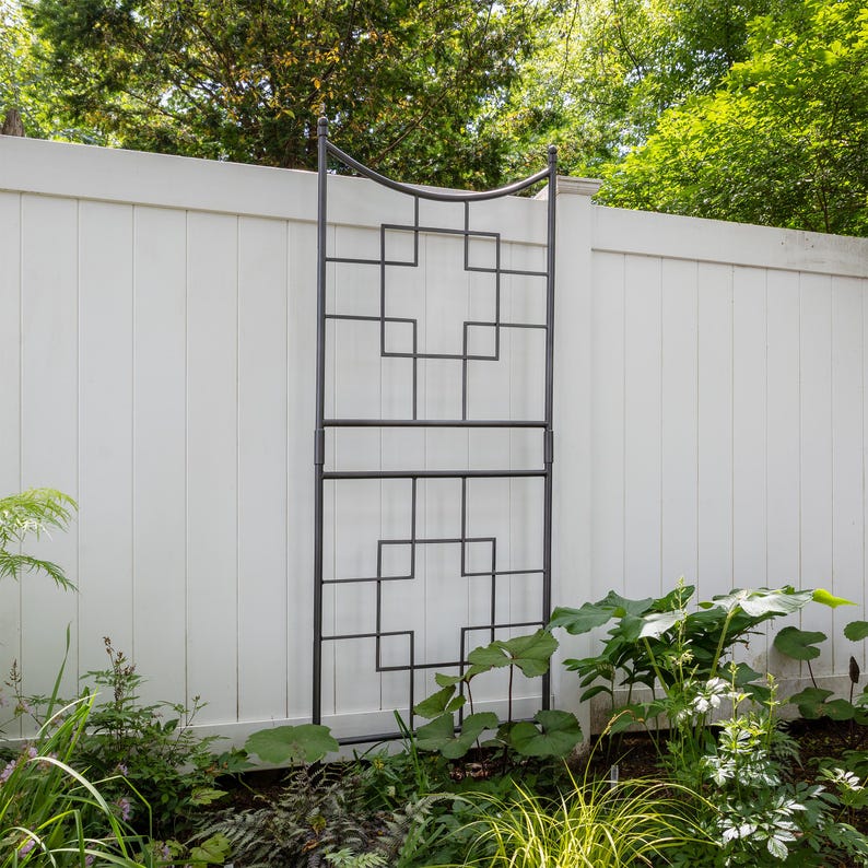 May include: A black metal trellis with a geometric design, standing against a white vinyl fence. The trellis is made of square and rectangular shapes, creating a grid pattern. The trellis is in a garden setting with green plants in the foreground.