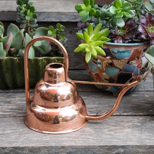 May include: A copper watering can with a long spout and a handle. The watering can is sitting on a wooden surface next to a potted succulent plant.