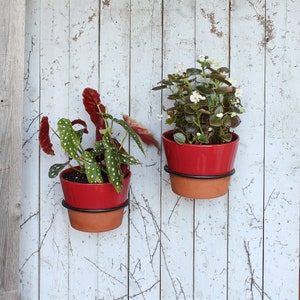 SET of THREE, 6" Wrought Iron Flowerpot Ring/Holder Wall Brackets
