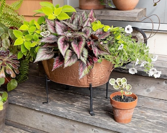 Scalloped Oval Copper Tub Planter with Folding Stand