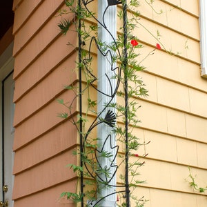 Flower and Vine Wrought Iron Downspout Garden Trellis- 92&quot;H