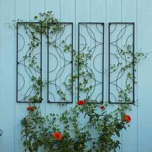May include: Four black metal trellis panels with a circular design are mounted on a light blue wooden wall. Green vines with small leaves and orange flowers are growing up the trellis, creating a decorative garden feature.