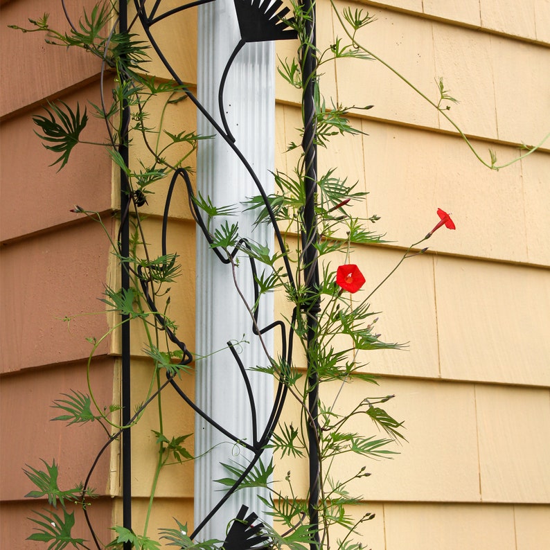 Flower and Vine Wrought Iron Downspout Garden Trellis Etsy