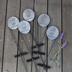 Lavender Herb Marker Stakes - Bundle of 10