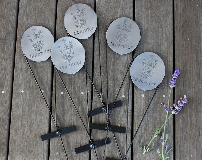 Lavender Herb Marker Stakes - Bundle of 10