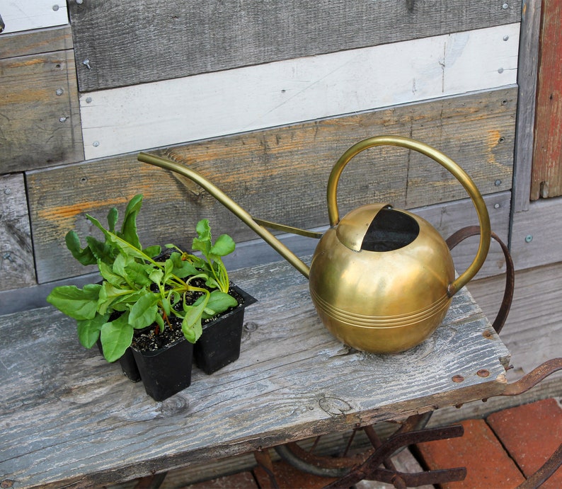 Globe Solid Brass Copper Watering Can for Houseplants and ...