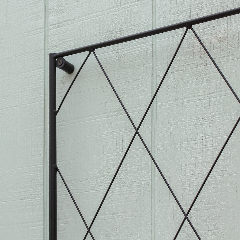 Op de afbeelding: Zwart metalen trellis met een ruitpatroon. De trellis is gemonteerd op een lichtgroene muur.