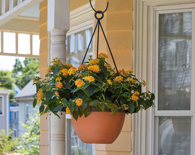 Modern Hanging Planter with 12" Pot