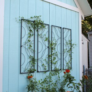 May include: Four black metal garden trellis panels with a circular design are mounted on a light blue wooden wall. Green vines with small leaves are growing on the trellis. Orange flowers are at the base of the trellis.