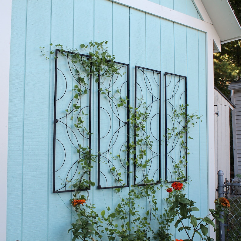 May include: Four black metal garden trellis panels with a circular design are mounted on a light blue wooden wall. Green vines with small leaves are growing on the trellis. Orange flowers are at the base of the trellis.