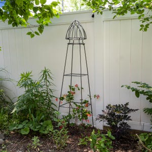Garden Pylon Wrought Iron Plant Support Trellis 65 1/2&quot;H