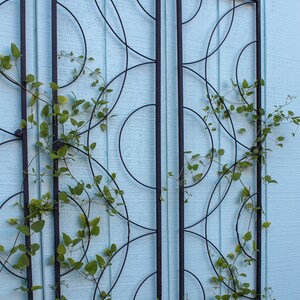 May include: Three black metal trellis panels with a geometric design of intersecting circles and lines. Green vines with small leaves climb the trellis. The trellis is mounted on a light blue wooden wall. Red flowers are at the bottom.