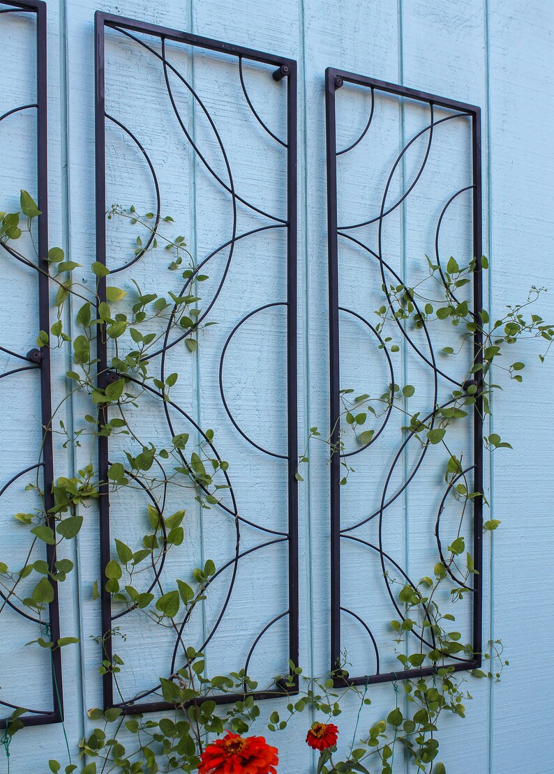 May include: Three black metal trellis panels with a geometric design of intersecting circles and lines. Green vines with small leaves climb the trellis. The trellis is mounted on a light blue wooden wall. Red flowers are at the bottom.