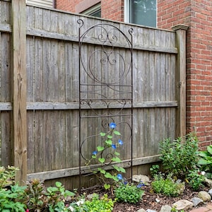 Scrolls Iron Trellis, Free-Standing for Garden, 65" Tall