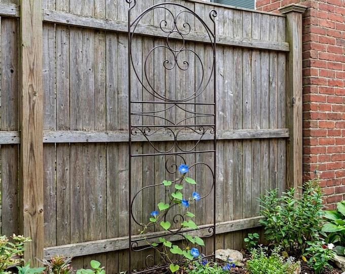 Scrolls Iron Trellis, Free-Standing for Garden, 65" Tall