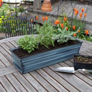 May include: A blue metal planter box with three different types of plants growing in it. The planter is sitting on a wooden table with a small gardening trowel next to it.