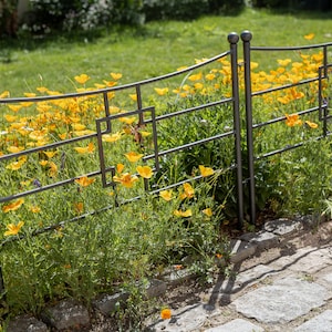 May include: A black metal garden fence with a curved top, separating a bed of yellow flowers from a stone path.
