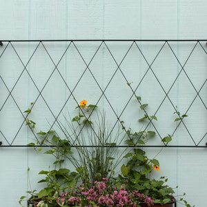 Cottage Garden Trellis, Rectangular Wall-Mounted, 46" x 23"