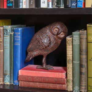 May include: A brown owl figurine with a textured surface, perched on a stack of books. The books have titles like "Through the Looking Glass" and "Mrs. Wiggs of the Cabbage Patch".
