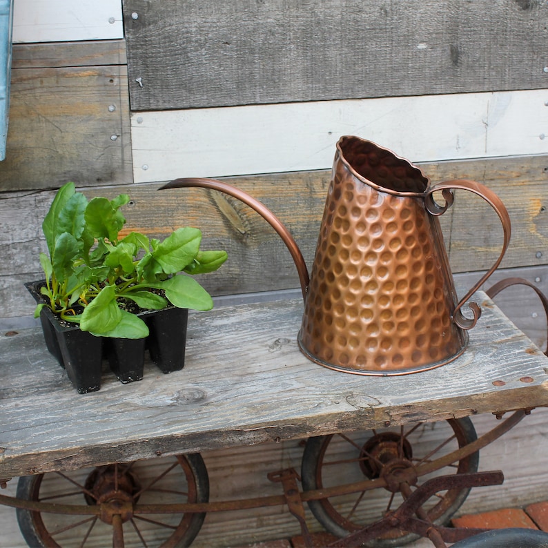 French Market Solid Copper Watering Can