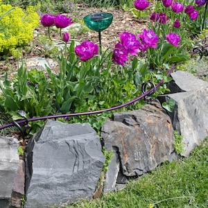Puede incluir: Un camino de jard&iacute;n bordeado de piedras grises y tulipanes morados. Un bebedero para p&aacute;jaros de metal verde se encuentra en el centro del camino.