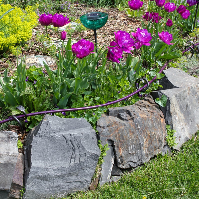 Puede incluir: Un camino de jard&iacute;n bordeado de piedras grises y tulipanes morados. Un bebedero para p&aacute;jaros de metal verde se encuentra en el centro del camino.