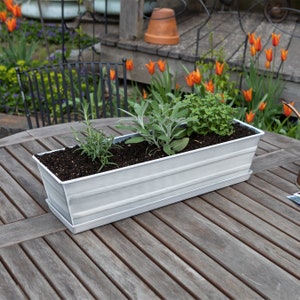 May include: A white metal planter box with three different types of plants growing in it. The planter is sitting on a wooden table.