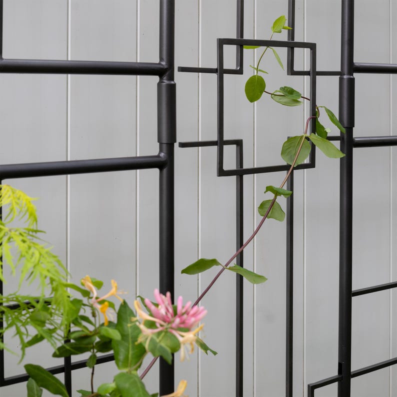 May include: Black metal garden trellis with a square opening in the center. A vine with green leaves is growing up the trellis.