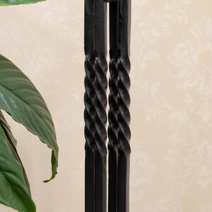 May include: Close-up of a black metal plant stand with a twisted design. The stand has a square frame with a central, spiraled rod. A large green plant leaf is visible on the left side of the image.