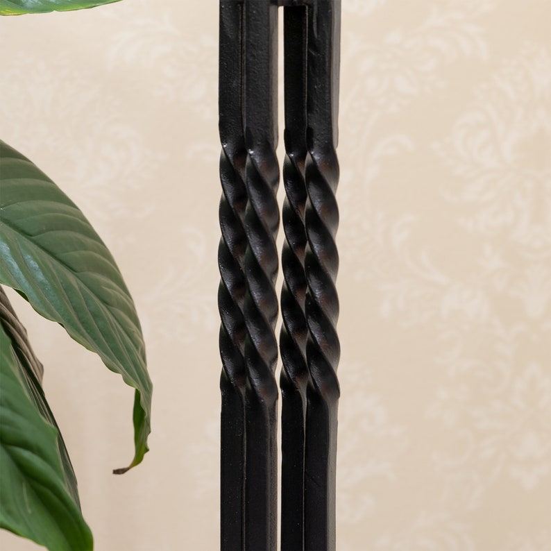 May include: Close-up of a black metal plant stand with a twisted design. The stand has a square frame with a central, spiraled rod. A large green plant leaf is visible on the left side of the image.