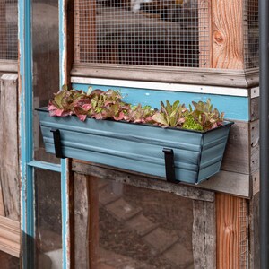 May include: A blue metal planter box with black metal brackets hangs from a window. The planter is filled with green and red leafy plants.